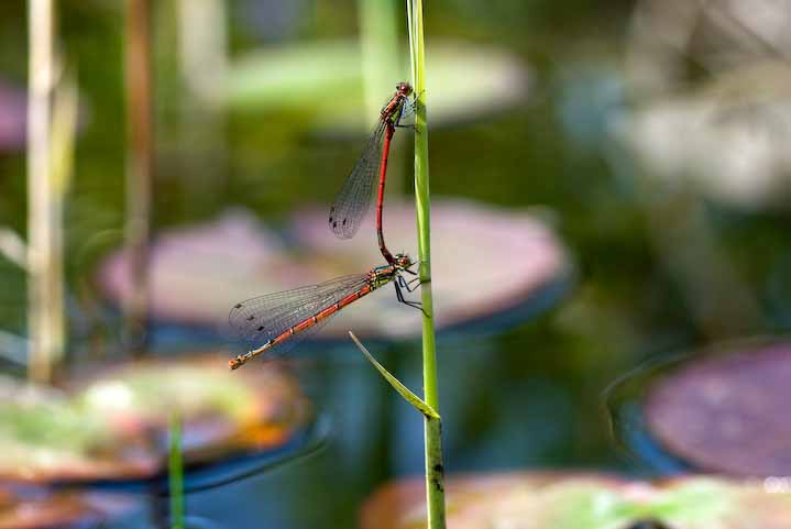 DSC_0053_2